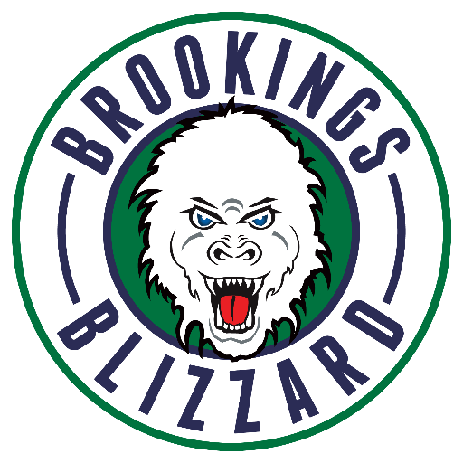 Brookings Blizzard 2016-Pres Primary Logo iron on heat transfer